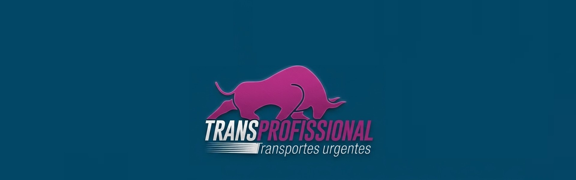 1 - TransProfissional Azul